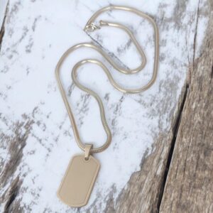 Collar color plata acero inoxidable caballero placa