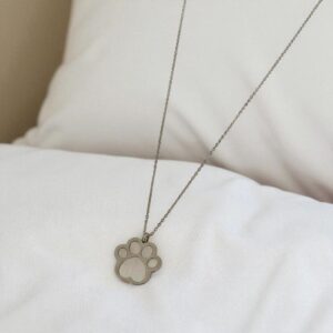Collar color plata acero inoxidable huella